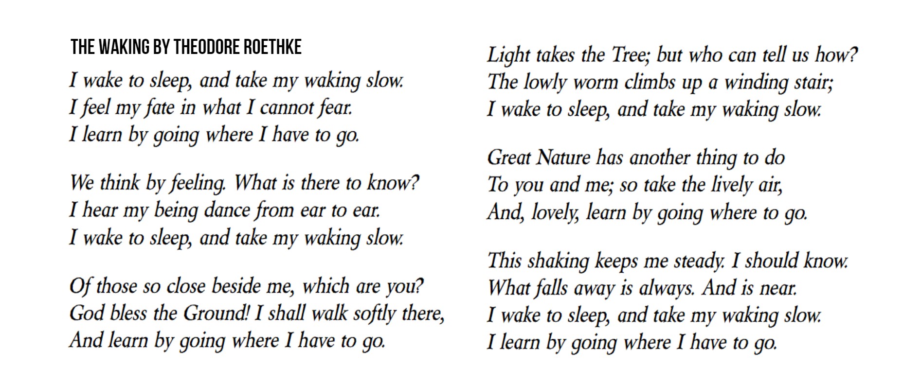 The Waking By Theodore Roethke 